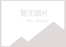 巫山县苍白会计有限公司